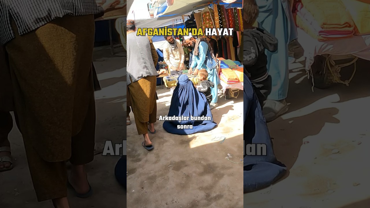 Site 2113695 - YouTube Auto PHP Script