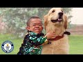 The life of the world's shortest man (2 ft 3.46 in)  - Guinness World Records