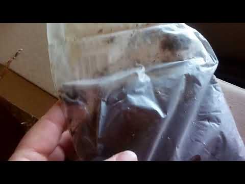 Яскрава клумба. Обзор посылки.