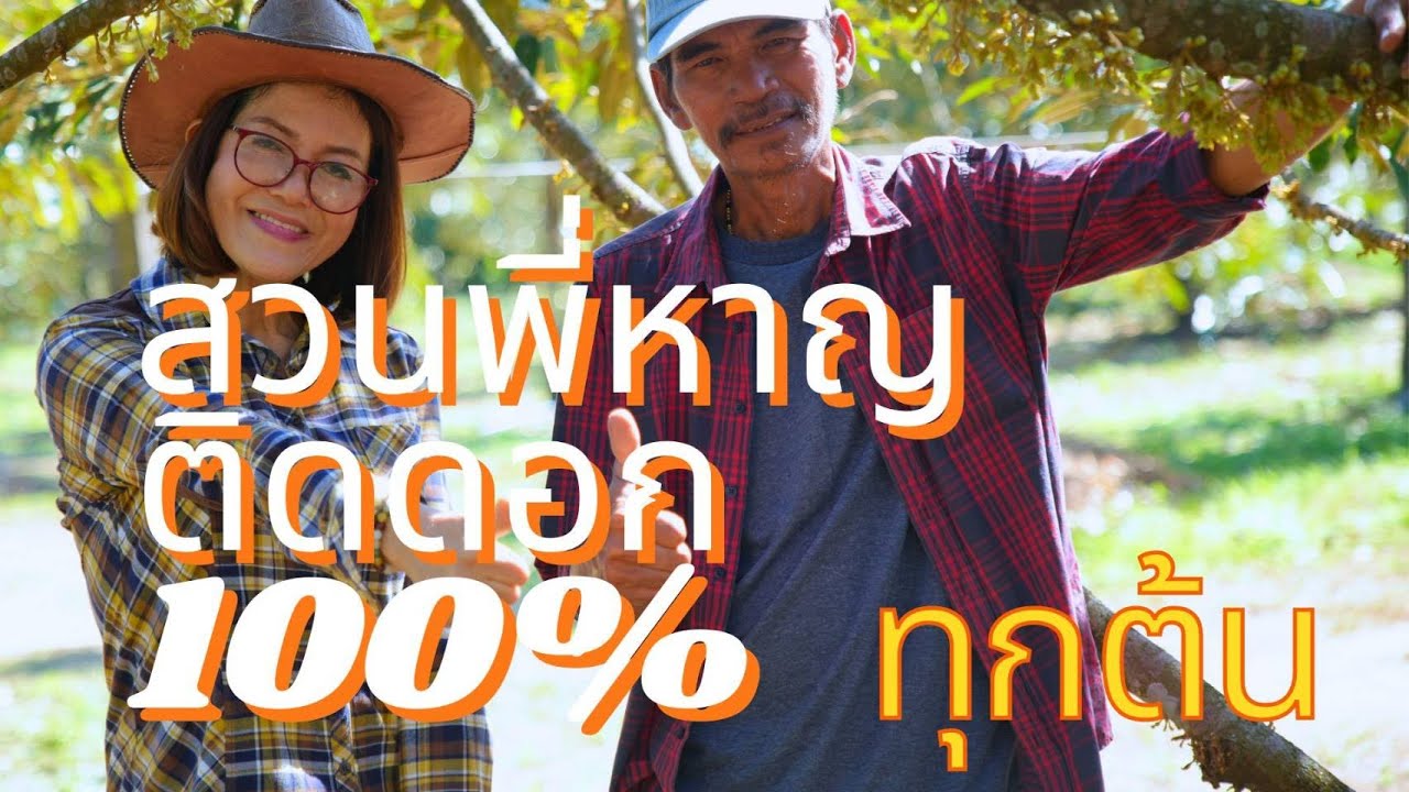 สวนพี่หาญ ทุเรียนติดดอก 100% ทุกต้น [EP.2]
