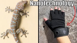 I Made Real Gecko Gloves to Climb Walls!