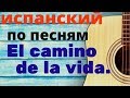 испанский язык по песням. El camino de la vida.  Признана колумбийской песней 20 го века.