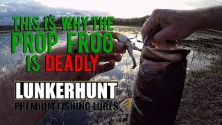 This why the prop frog is deadly!!! Trailer Hook