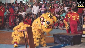 Phước Nghĩa Đường: Múa lân Địa Bửu  - Ngày Hội Lân Sư Rồng Vũng Tàu 2019