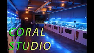 A Korean Aquarium Shop Like No Other by Fragbox Corals 8,668 views 1 month ago 13 minutes, 28 seconds