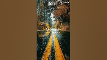 القرآن الكريم #فلسطين #فيديو #الكيان_الصهيوني #فلسطين_حره #القدس #القرآن #القران_الكريم #algerie