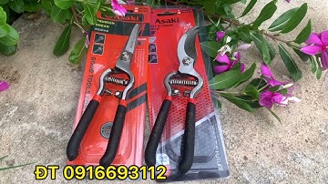 Bộ đôi kéo cắt cây cảnh thương hiệu ASAKI lh shop 0916693112