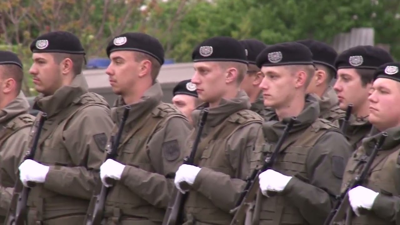 Strasshof | Angelobung - Aufklärungs- und Artilleriebataillon 3