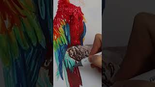 Drawing a parrot with my new alcohol markers #hanselah #alcoholmarkers #ohuhu #ohuhumarkers #artwork