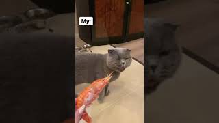 حرامات كيف استفرغ🤣😂🦐#short