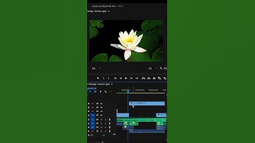 60fps Tutorial #premierprotutorial #tutorial #premierepro #editingtutorial #editing #slomotutorial
