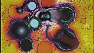 tanin jazz - virtual love (ukgarage remix) psychedelic visuals