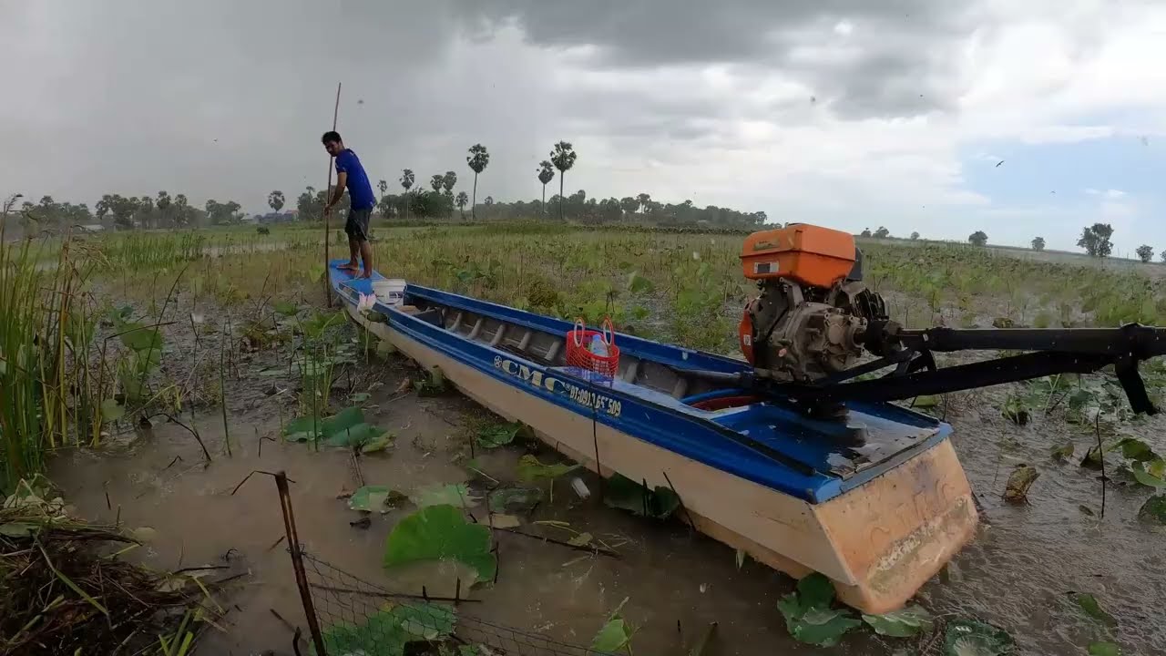 Best Fishing With Bamboo Box At Raining Day