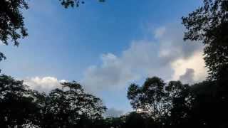 Bats, OTS 2014-1 Grad Course, La Selva