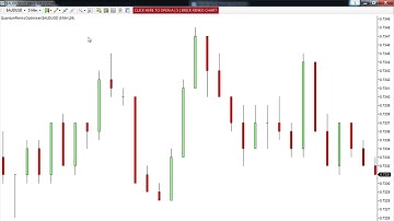 Using the renko optimiser for NinjaTrader 7