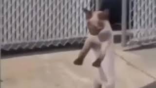 Cat Dances To Panini By Lil Nas Xmeme