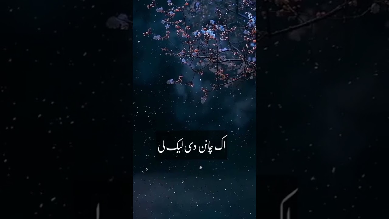 Patient Vanished In Hallway - YouTube Auto PHP Script