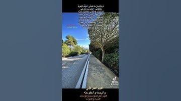 سورة النجم #وديع اليمني