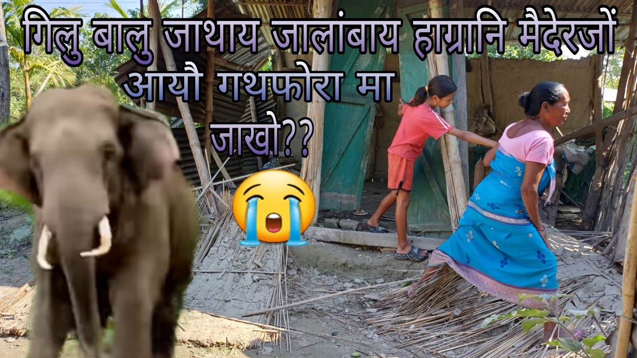 गिलु बालु जाथाय जालांबाय हाग्रानि मैदेरजों गथफोरा 😭