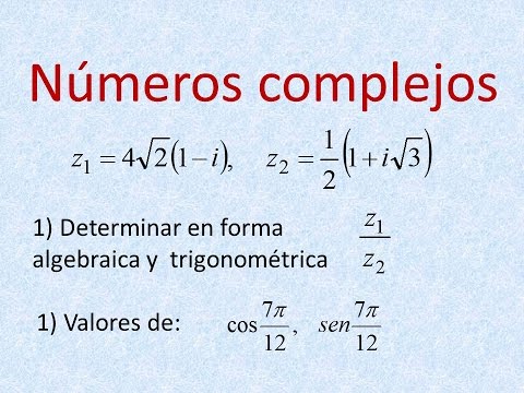 Division De Numeros Complejos Forma Algebraica Y Trigonometrica