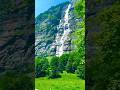 amzing Days In heaven Switzerland 🍁🌿#shorts #youtubeshorts #youtube #viral #explore #nature #travel
