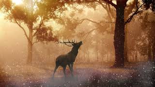 Cernunnos Meditation  Connect To The Nature God Cernunnos