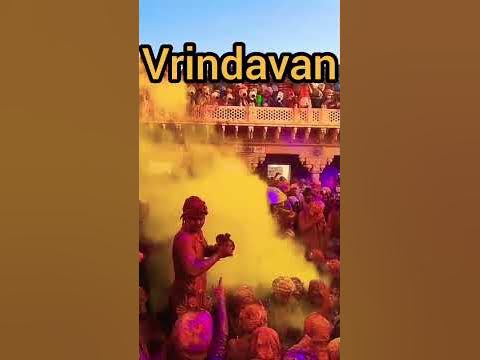 worlds biggest holi
