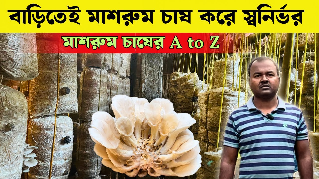কম খরচে বেশি লাভ মাশরুম চাষের সঠিক পদ্ধতি A to Z | Mushroom Farming
