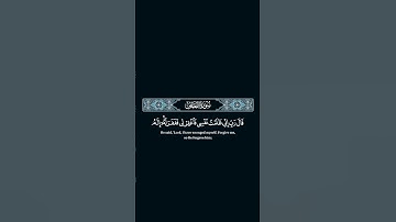 قال رب انى ظلمت نفسى فاغفر لي فغفر له #quran #تلاوات #راحة_نفسية #تلاوة_خاشعة #surah #اكسبلور