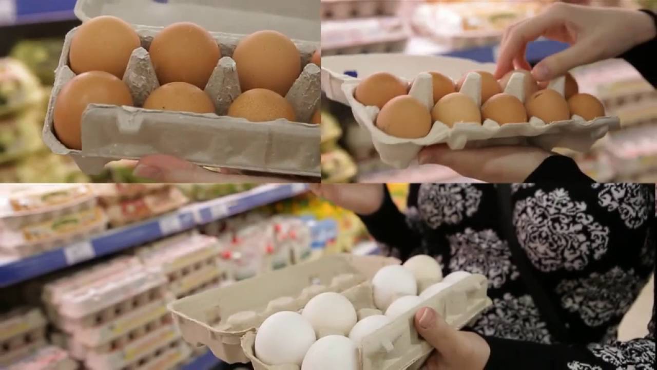 Как правильно выбирать яйца. Яйца в одной корзине. Хранение яиц. Как проверяют яйца на ферме. Москва 24 рейтинг яиц.