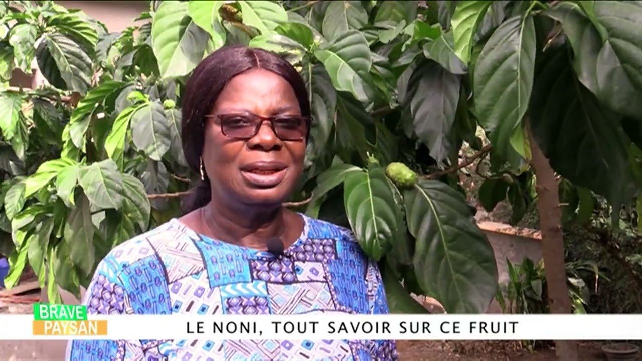 LE NONI UN FRUIT BON