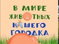 Городок  - 2002 -  эпизод 8 -  В мире животных нашего  городок