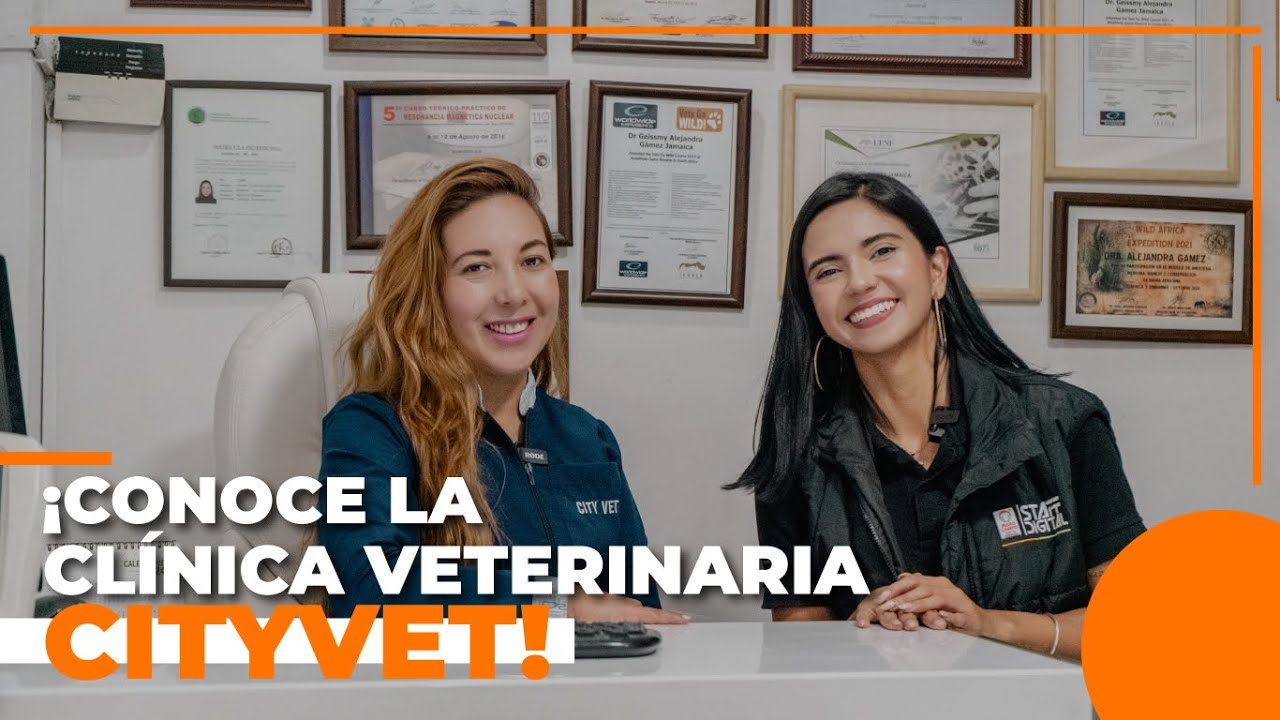 ¡Nueva experiencia Pet Friendly en la Clínica veterinaria Cityvet!🏥🐾