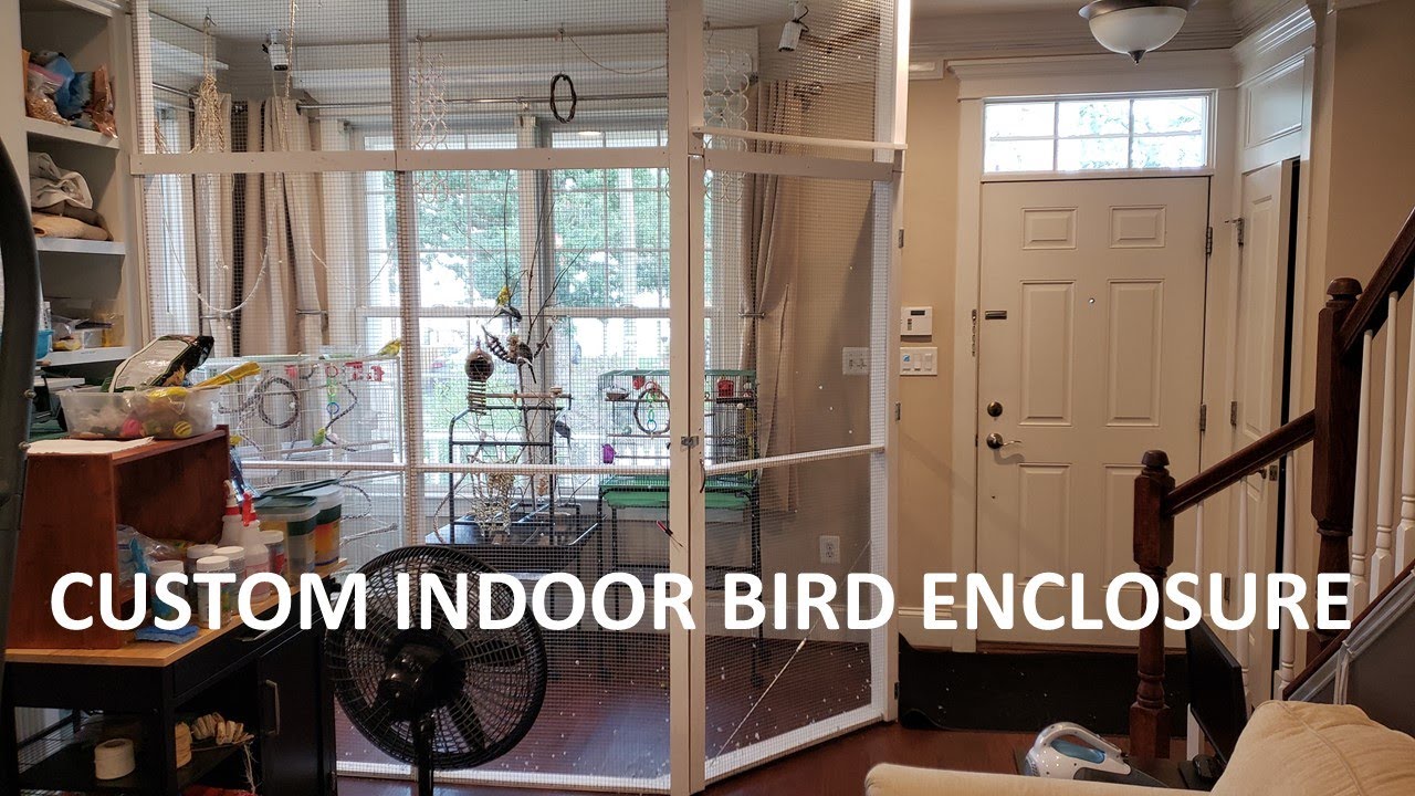 Custom Budgie Parakeet Bird indoor aviary enclosure built with Home Depot materials free fly all day