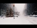 a playlist for a melancholic winter (𝒅𝒂𝒓𝒌 𝒂𝒄𝒂𝒅𝒆𝒎𝒊𝒂)