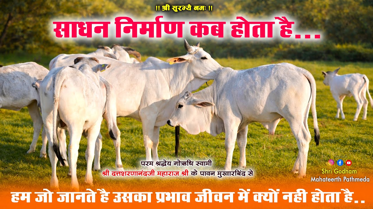 साधन निर्माण कब होता है | जीवन में गौ माता के लाभ | गोऋषि महाराजश्री Shree Godham Mahatirth Pathmeda