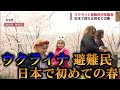 【大分】ウクライナ避難民 日本の春を楽しむ