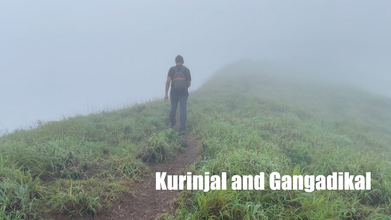 Kurinjal & Gangadikal Peak | Kudremukh National Park | Karnataka