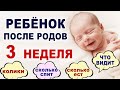 Что происходит и что нужно ребенку на 3 неделе жизни? Ребенок на третьей неделе после родов.