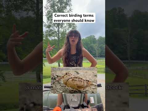 Birding Terms You Should Know 