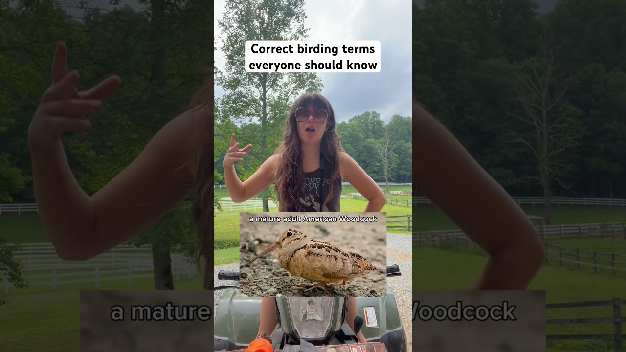 Birding Terms You Should Know