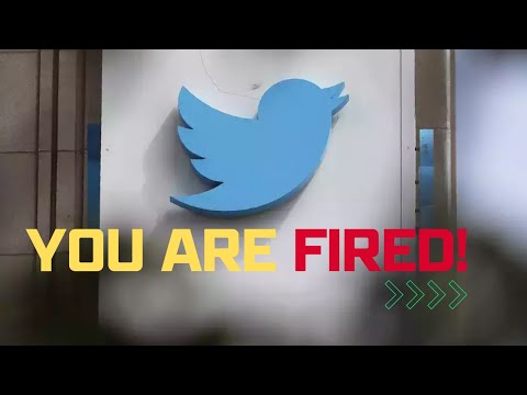 Elon Musk Twitter | 'Go Back Home': Twitter To ALL Employees As Layoffs Begin | Read Email