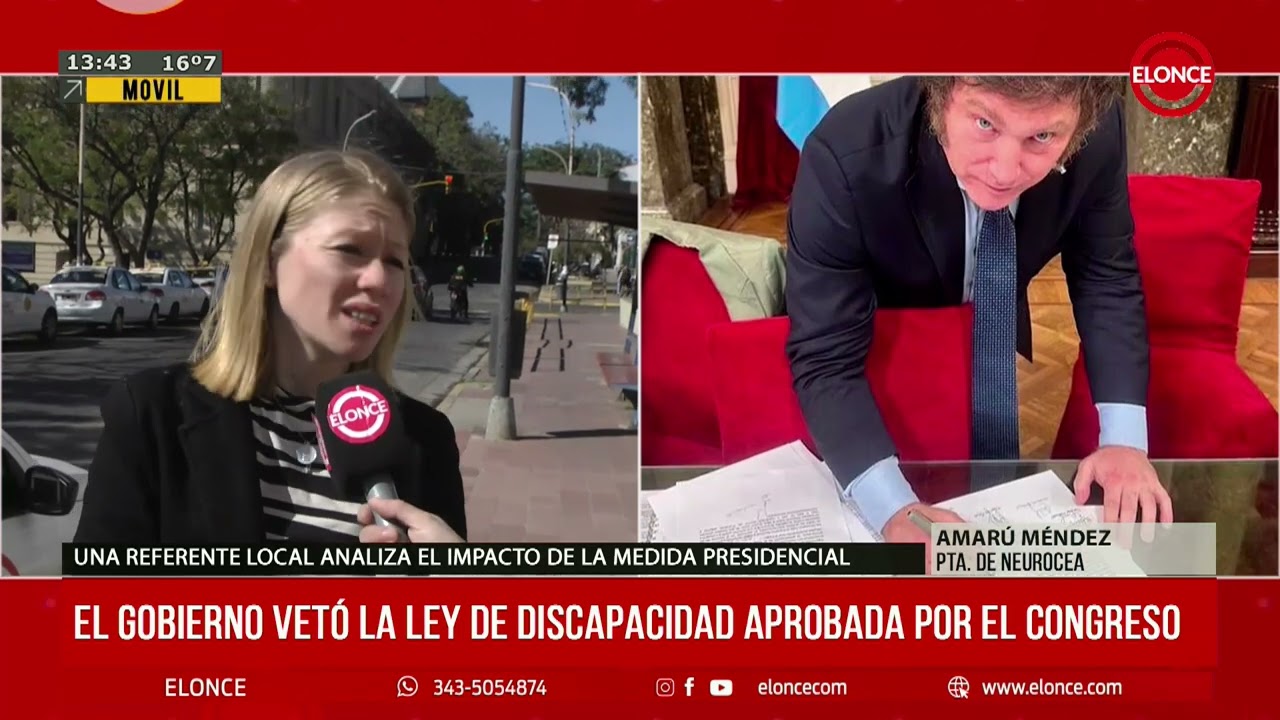 El gobierno vetó la ley de discapacidad aprobada por el congreso - 04/08/2025