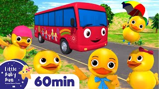 5 little ducks on a bus more little baby bum kids songs and nursery rhymes