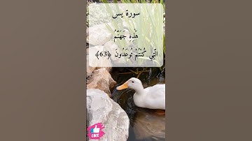 ولقد أضل منكم جبلا كثيرا أفلم تكونوا تعقلون  | سورة يس #دعاء_ورسالة