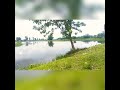 আমাদের এলাকার ছোট্ট নদী ❤️❤️❤️🥰
