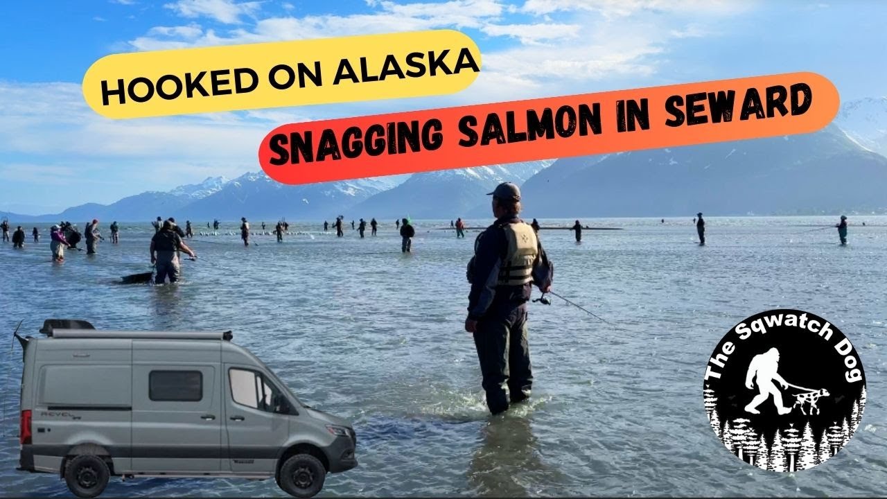 Alaska AdVANture Day 23.5 Hooked On Alaska Snagging Salmon in