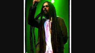 Born to be wild by Damian Marley