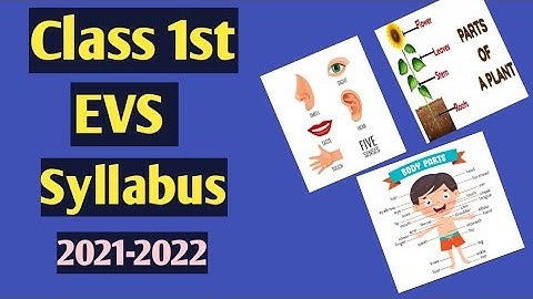 Class 1st EVS Syllabus || EVS Syllabus Class 1st || Class 1st latest syllabus 2021-2022