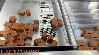 vitamin bones / soft chew cold extrusion & cooling & automatic counting filling line screenshot 4